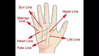 HOW TO READ YOUR OWN PALM LINES