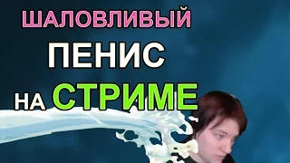 ШАЛОВЛИВЫЙ ПЕНИС НА СТРИМЕ - Abver