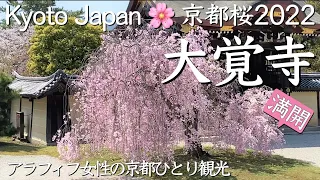 京都桜2022🌸【大覚寺】満開の紅しだれ桜を楽しむアラフィフ女性の京都桜観光（kyoto,Japan,Cherry Blossoms）