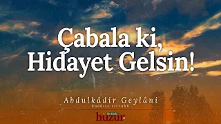 Çabala ki, Sana Hidayet Gelsin! | Abdulkadir Geylani'den Öğütler