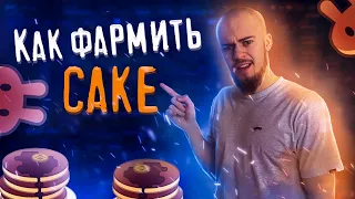 🥮 Как фармить CAKE на PancakeSwap. Детальная инструкция