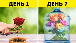 Цветы и другие растения 🌷🌹 🌱Отличные идеи для подготовки вашего сада к весне