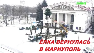 Мариуполь ЁЛКА ВЕРНУЛАСЬ из ОДЕССЫ "с вакцинации" с сертификатом 😍