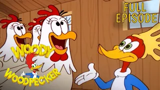 Woody Poses as a Chicken | Full Episode | Woody Woodpecker