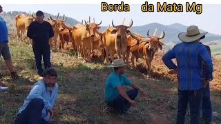 Multirão de Aração de Terra sítio Boa Vista ,almoço e encerramento do trabalho