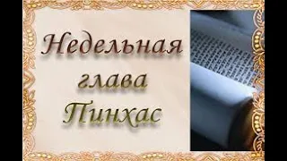 глава Пинхас 5782 - рав Даниэль Булочник