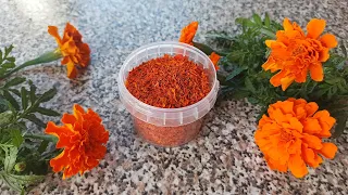 How to make Imeretian saffron seasoning.