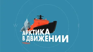 Телемост "Арктика в движении"