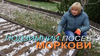 Подзимний посев МОРКОВИ! Советы от ЗЕЛЕНОГО ОГОРОДА!