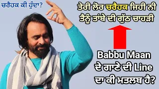 Babbu Maan ਦੇ Lor Song ਦੀਆਂ ਇਹਨਾਂ ਲਾਈਨਾਂ ਦਾ ਮਤਲਬ ਕੀ ਹੈ ਤੁਹਾਨੂੰ ਵੀ ਨਹੀਂ ਪਤਾ ਹੋਣਾ | New Song | Meaning