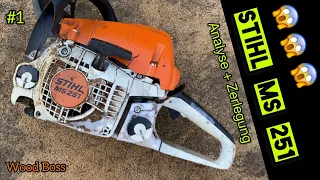 #1 Stihl MS 251 😱😱😱 was ist da passiert 🙈 zerlegen der Säge.Bestandsaufnahme nach Crash 💥