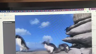 смеюсь над падениями пингвинов