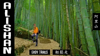ALISHAN Easy Trails  (阿里山/輕鬆走步道)