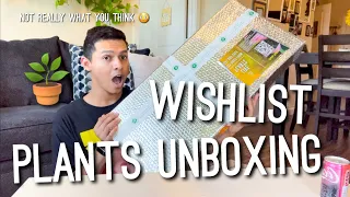 Getting Wishlist Plants from Indonesia 😳🪴💚 | Aroid Market Houseplant Unboxing! 🥲