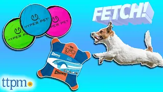 Which Flying Disc is the BEST? (We Tested Them All) | Dog Toys | TTPM Pet Review