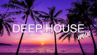 Avicii, Calvin Harris, Kygo, Alok, Robin Schulz, David Guetta, Gryffin - Summer Vibes Mix #271