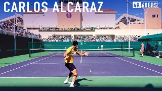 Carlos Alcaraz - Indian Wells Practice [2024]