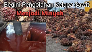 Process of processing fresh palm oil from the beginning to become CPO oil #Sitanggang_Tanggarube