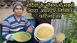 How to Prepare Mustard Cake Liquid Fertilizer