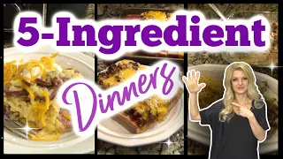 5-INGREDIENT Easy Family DINNERS | Easy & Budget Friendly Recipes | What's For Dinner?