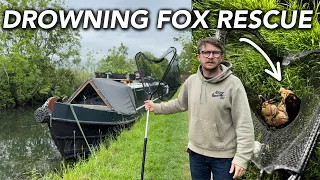 Living Aboard A Narrowboat & Rescuing A Drowning Fox From The Canal