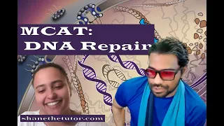 100th Percentile MCAT: DNA Repair