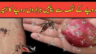 Get rid of rats, Mosquito, cockroach, lizard with homemade spray|powerful insects killer remedy