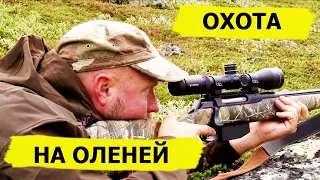 Охота на оленей (БЕЗ КУПЮР!) Охотничьи приключения в Норвегии/NORDIC WILD HUNTER (Охотник и рыболов)