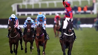 Sprinter Sacre - The Season A Champion Resurrected