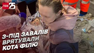 🐱💔 У Києві з-під завалів після атаки дрона врятували кота