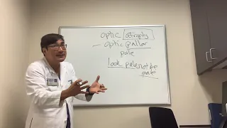 Optic Nerve Atrophy vs Optic Nerve Pallor