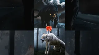 Black panther,Lion,Wolf, Tiger fight👿😈 #animals #viral #shorts #fight #shortvedio #shortfeed #lion