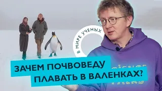 Арктика и Антарктика глазами почвоведа, вечная мерзлота и пингвины | Алексей Лупачев | В мире ученых