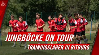 NLZ-Trainingslager VLOG | U17 und U19 in Bitburg | 1. FC Köln