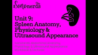 Spleen Anatomy | Physiology | Ultrasoun Appearance with Sononerds