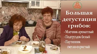 Большая дегустация грибов.  Грибная кухня 1 марта 2018 года.