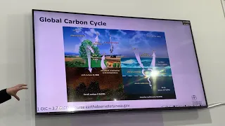 Everything you Need to Know about Tipping Points in the Permafrost Carbon Feedback System