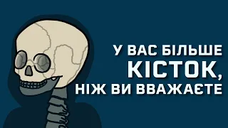 У вас більше кісток, ніж здається [MinuteEarth]