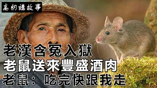 民間故事：老漢含冤入獄，老鼠送來豐盛酒肉，老鼠：吃完快跟我走｜高朗講故事