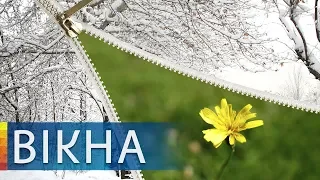 Будет ли в Украине настоящая зима и дождемся ли снега на Новый год | Вікна-Новини