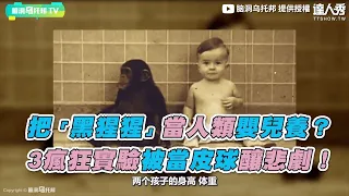 【把「黑猩猩」當人類嬰兒養？ 3瘋狂實驗被當皮球釀悲劇！】｜脑洞乌托邦