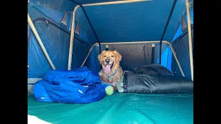 How To Get Your Dog in a Roof Top Tent