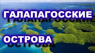 Галапагосские острова с Дмитрием Сапаровым  / TimonFix