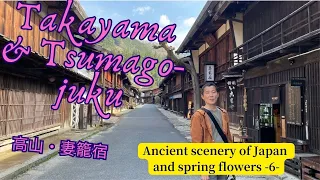 Ancient scenery of Japan and spring flowers - ’24 April - No. 6 Takayama&Tsumago-juku 日本の原風景と春の夢 6