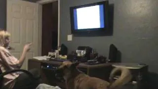 My Dog's reaction watching Michael Jackson's ghost on CNN