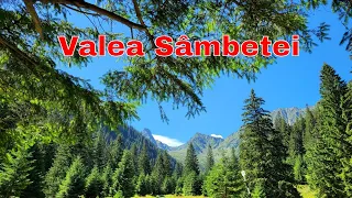 Valea Sambetei priveliste de la Cabana Valea Sambetei