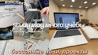 Study vlog! много учебы, бессонные ночи / study with me до ночи 🌙