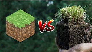 Minecraft VS Real Life