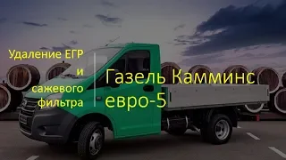 Удаление сажевого фильтра на Газель Камминс 2.8 евро-5