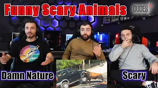 Damn Nature You Scary | Funny Scary Animal Encounters | REACTION